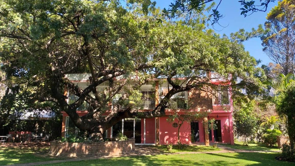 Casa Amor Tepoztlán Dış mekan fotoğraf